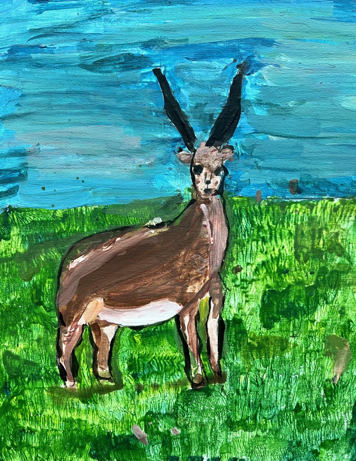 An antelope looking at you standing on a green field